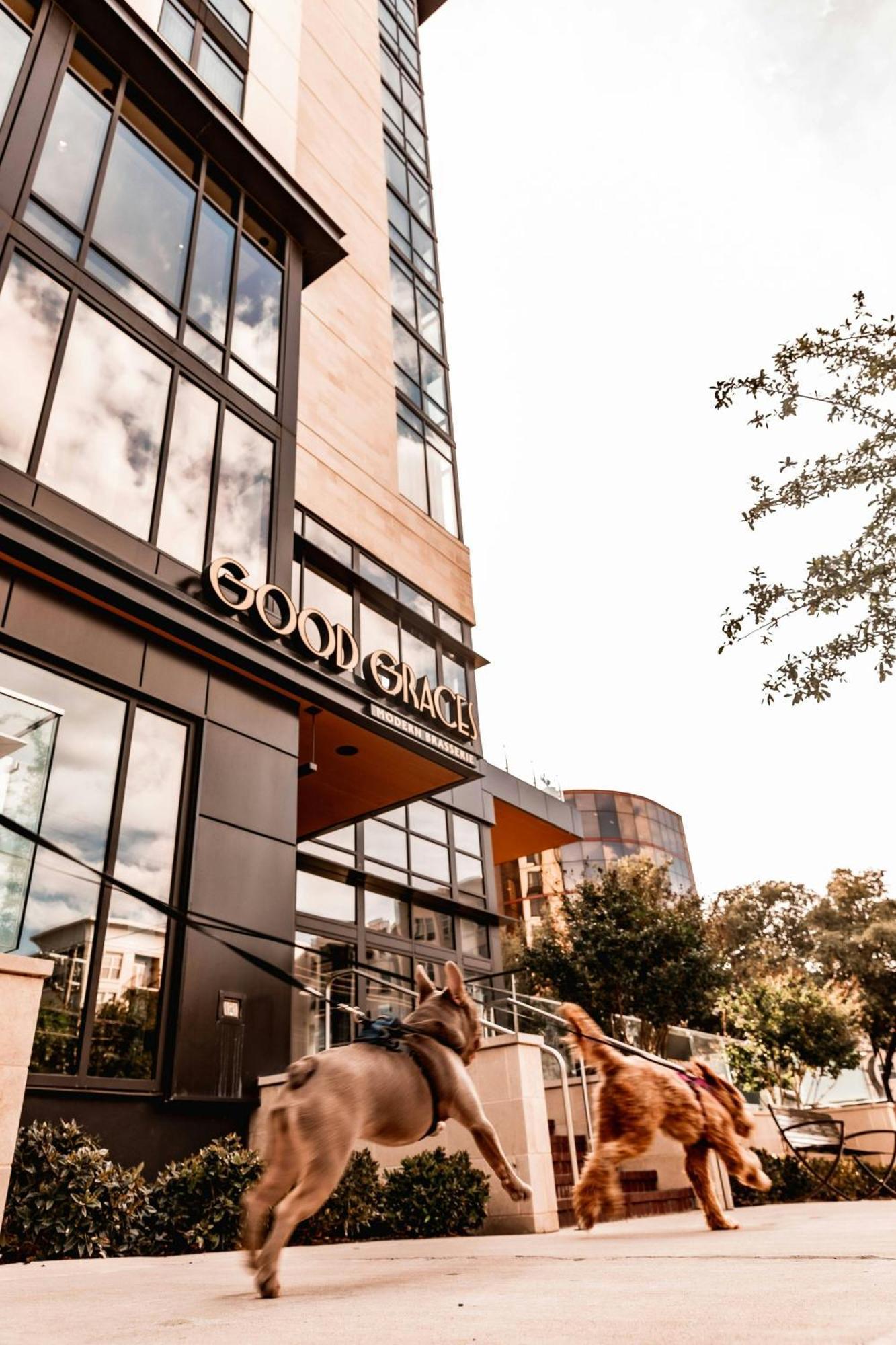 Marriott Dallas Uptown Bagian luar foto